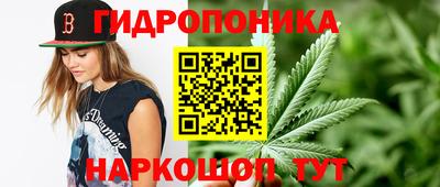 jwh Камышлов