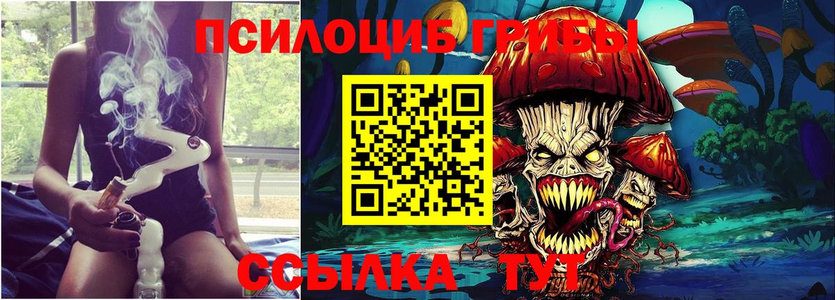 Кувандык  Псилоцибиновые грибы MAGIC MUSHROOMS  Вход с VPN 